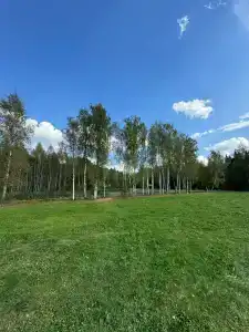 Зелёный остров - 58