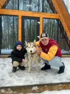 Лесная сказка - 84