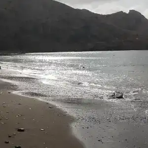 Кемпинг у моря - 12