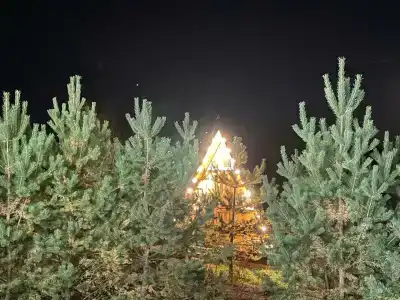 Тверской-Ямской - 4