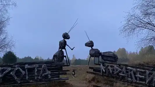 Визит-центра - 29
