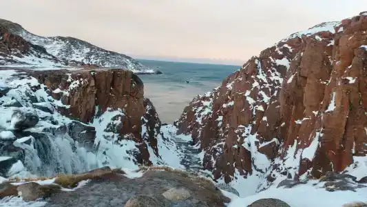 Морошка - 47