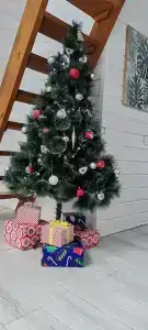 Дом с баней и чаном у леса - 26