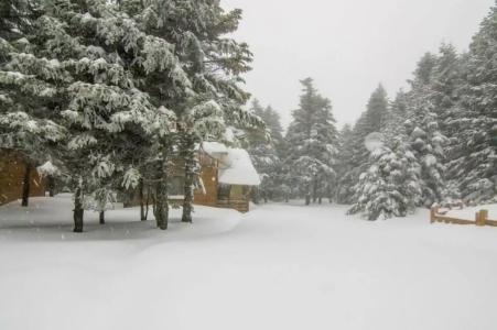 Uludag Orman Koskleri - 35