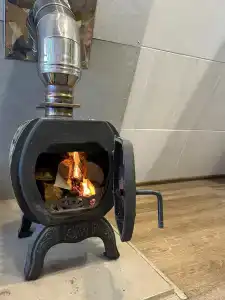 Золотой фазан - 9