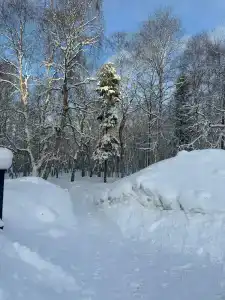 Лапландия - 37