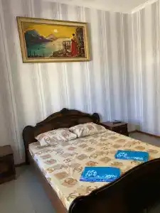 Алмаз - 29