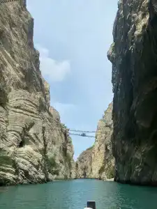 Главрыба - 86