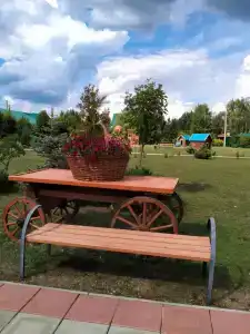 Сосновка - 12