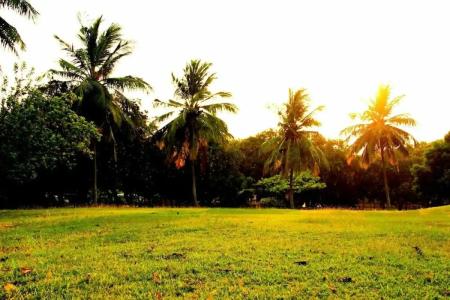 Vgp Golden Beach Resort - 92