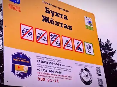Бухта желтая - 18
