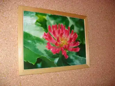 Свирский Пляж - 29