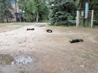 Железобетон - 15