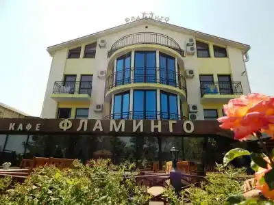 Фламинго - 26