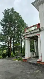 Сосновый бор - 84