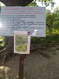 Магистраль - 69