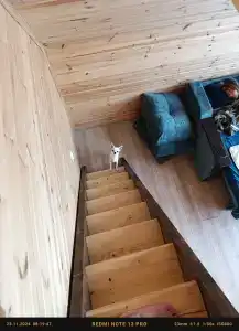 Серёжкино - 42