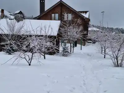 Ноев Ковчег - 26