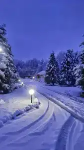 Вольские дачи - 30