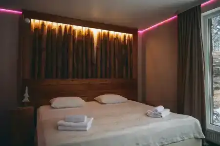 Гуси-Лебеди - 48