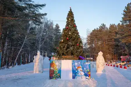 Звезда - 6