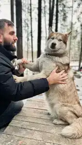 Лунный свет - 72