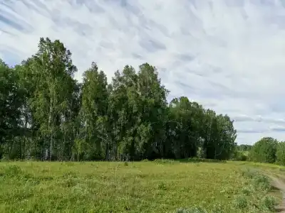 Кинтереп - 45
