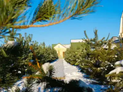 Лукоморье - 64