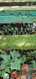 Сосновый Бор - 19