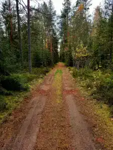 Долина Парк - 39