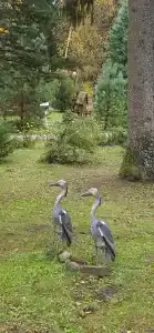 Кристалл - 83