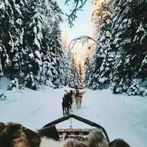 Пасторское озеро - 62