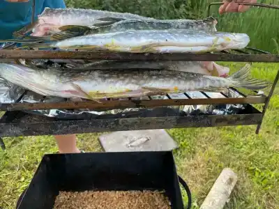 Гостевой комплекс в д. Нурмолицы - 48