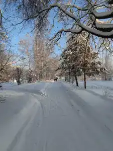 Мышгород - 12