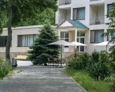 Мечта Тея - 97