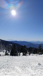 Juras Kervansaray Uludag - 91