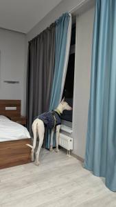 Магистраль - 65