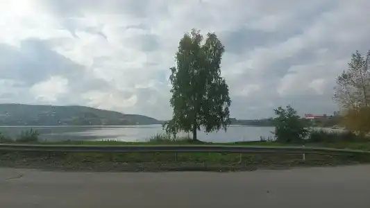Родничок - 15