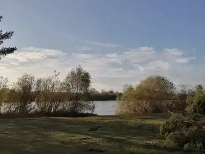 Пралеска - 44