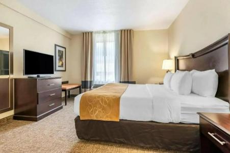 Comfort Suites Maingate East - 41