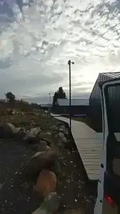 Лунный свет - 79