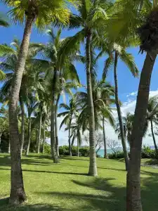 Sheraton Sanya Yalong Bay Resort - 88