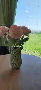 Малина кемп - 9