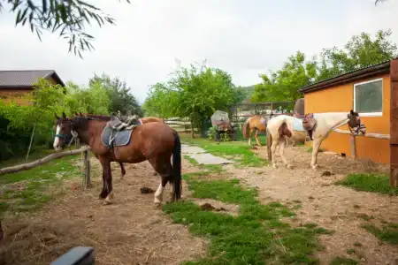 Ход конем - 0