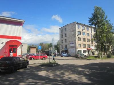 Брусничка - 28