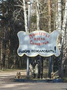 Поместье озера Сиркоярви - 9
