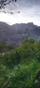 Панорама - 46