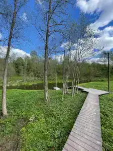 Романов дача - 46