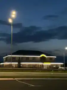 Золотой карп - 11