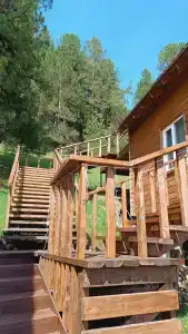 Чертоги Кедра - 0